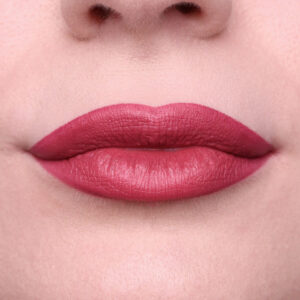 Long Lasting Lipduo pencil 106L - PuroBio