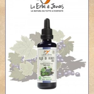 Ribes Nero - Le Erbe di Janas