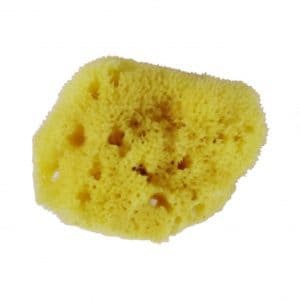 Spugna fine naturale viso - Avril